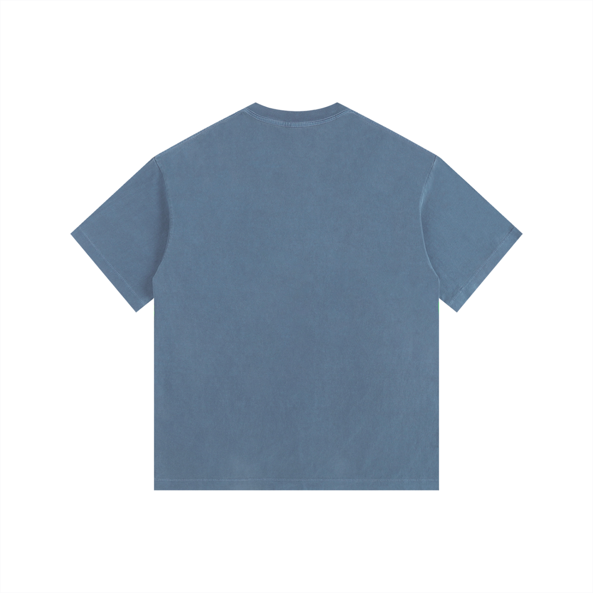 Vintage Nature Club Turtle Tee