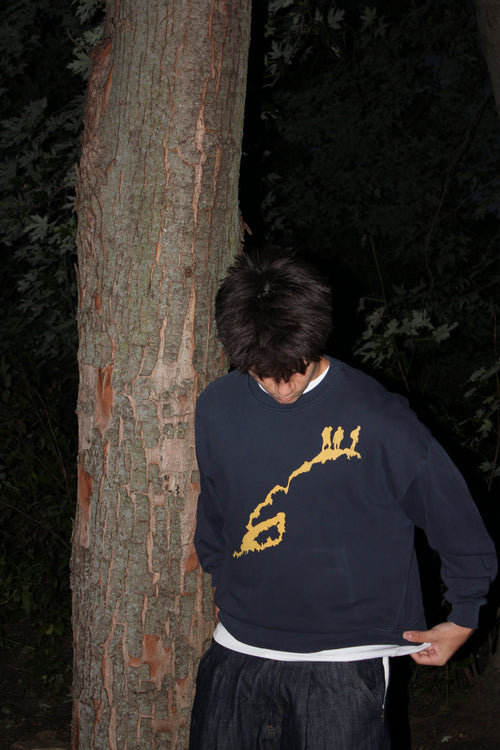 "Find Your Meridian" Sweater